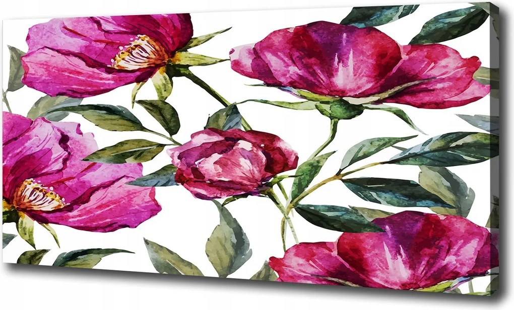 Vászonkép Rózsaszín bazsarózsa 100x70 cm