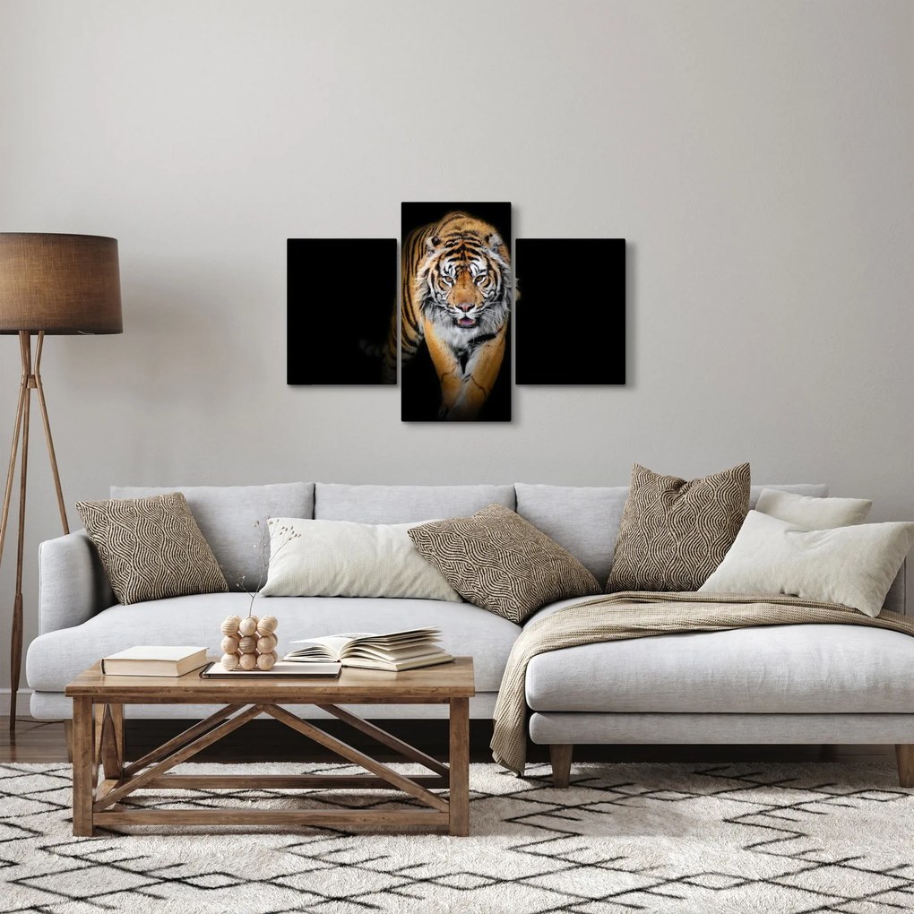 Kép - Tigris (90x60 cm)