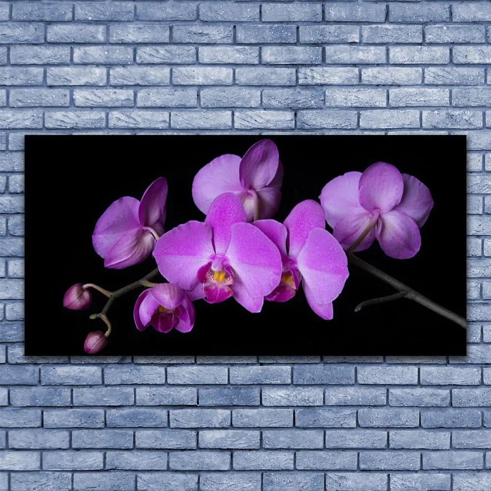 Modern üvegkép Orchidea Orchidea Virág 125x50 cm