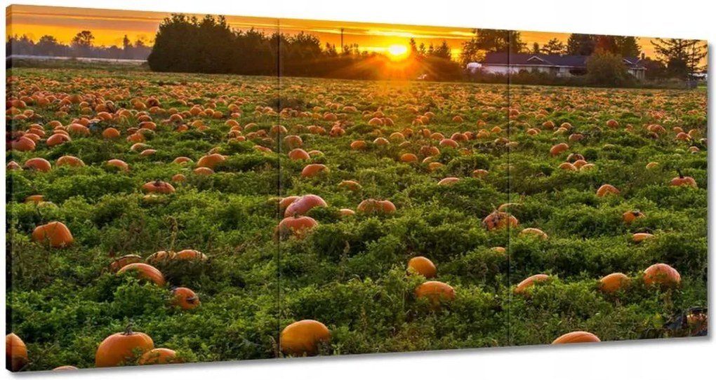 Festmények 120x60 Tájkép Látvány