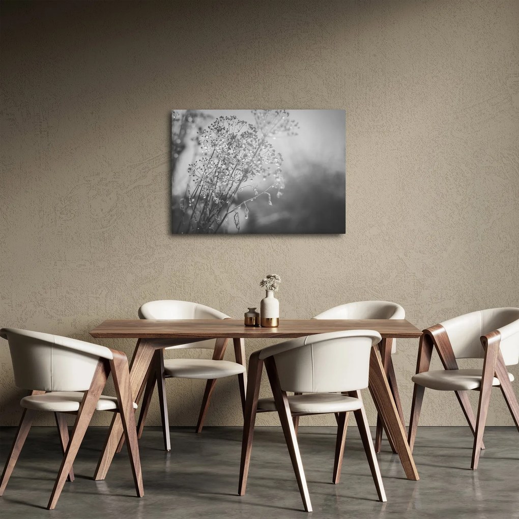 Kép - Mező az eső után (70x50 cm)
