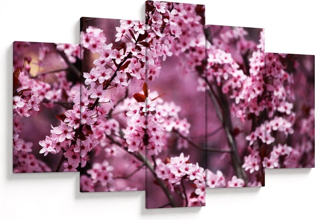 Kép - Rózsaszín sakura (150x105 cm)