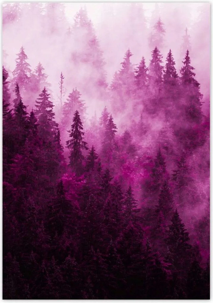 Poszterek 70x100 Tájkép Rózsák Hegyek Köd