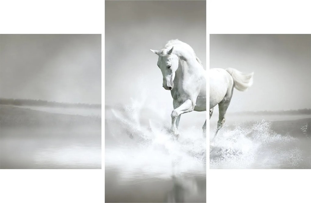 Kép - Fehér ló (90x60 cm)