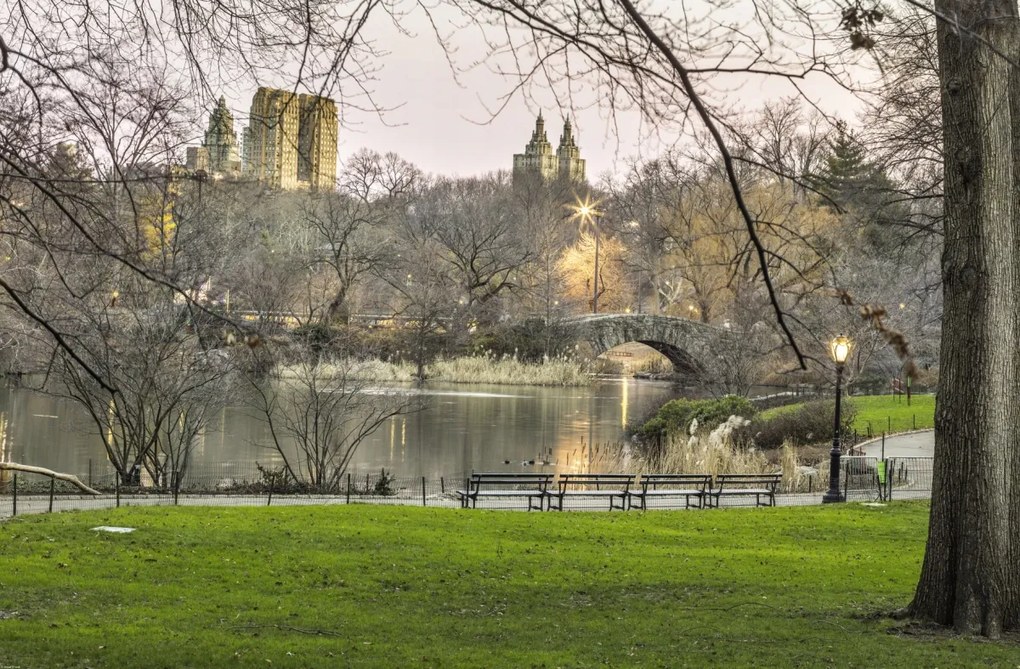 Poszter 91,5x60cm Központi park Manhattan panorámával 5, Assaf Frank