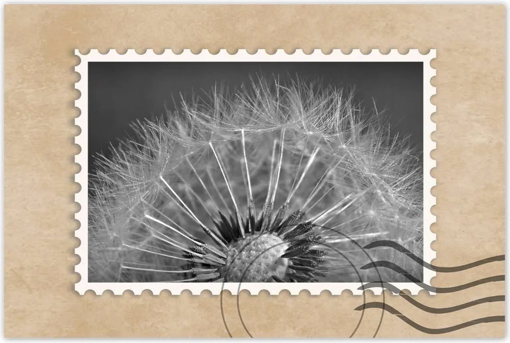 Poszterek 60x40 Pitypang Virág Virágok