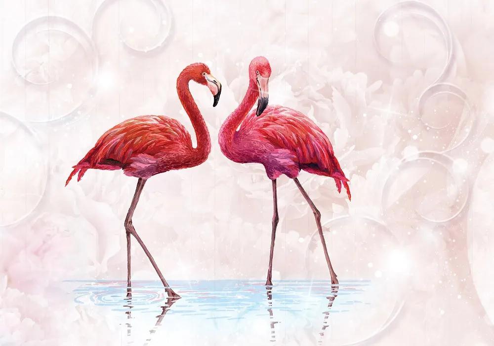 Flamingók poszter, fotótapéta 10199 több méretben, alapanyagban