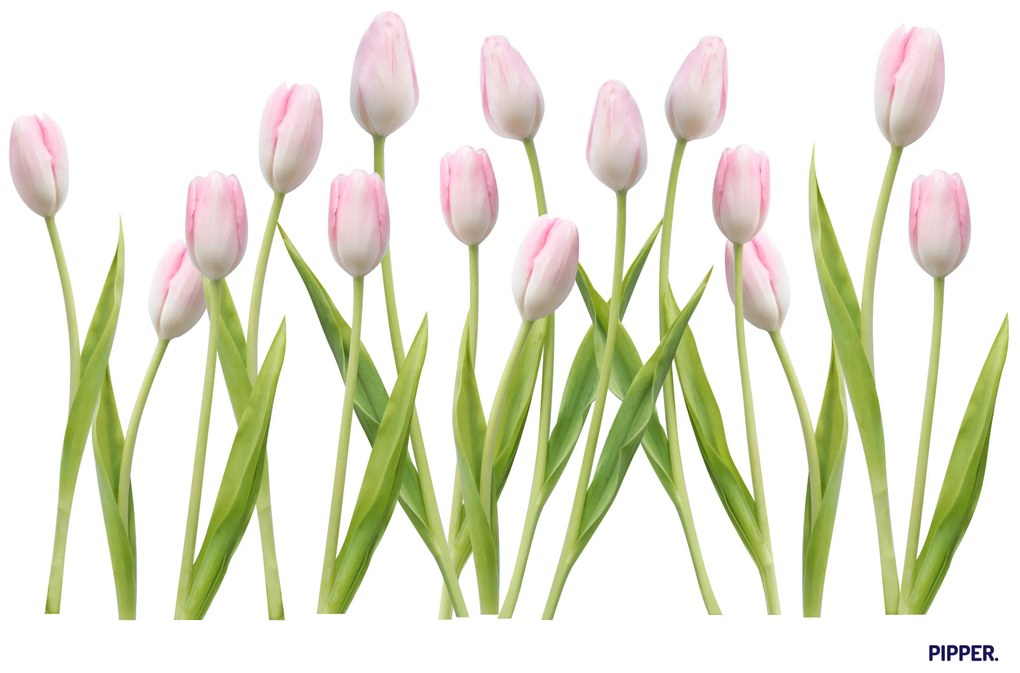 PIPPER. Textil falmatrica "Tulipánok 2"