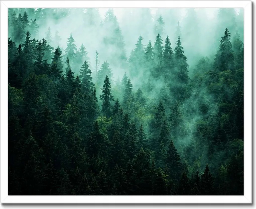 Poszter fehér keretben 50x40 Erdő Köd Tájkép Utazás