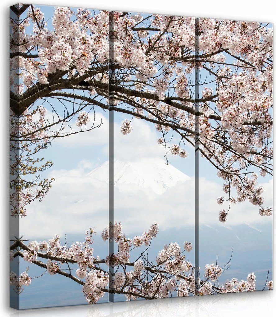 Vászonkép 90x100 Sakura cseresznyevirágzás Japán Fuji tavasz táj természet