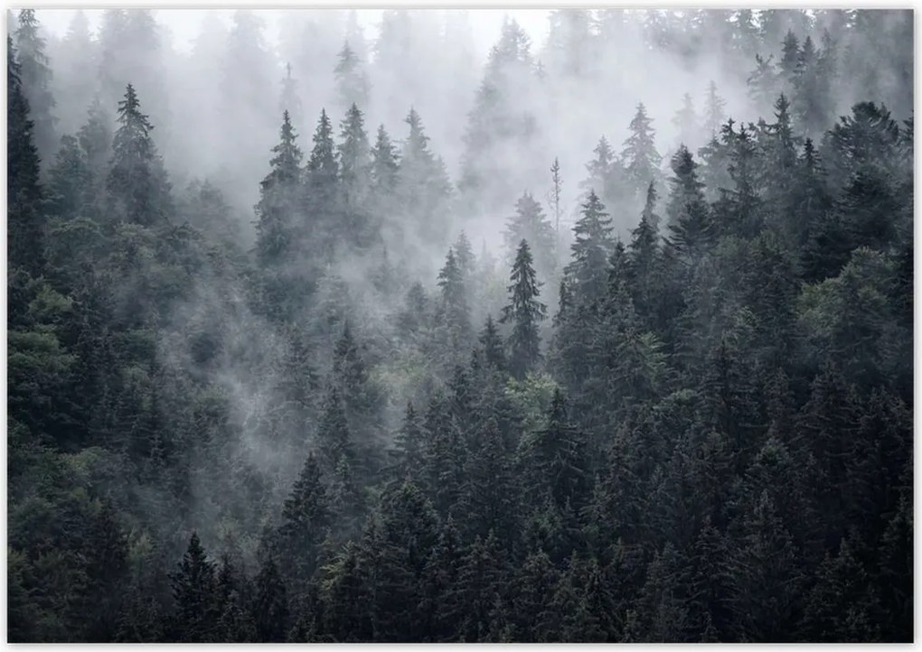 Poszterek 100x70 Ködös hegyi táj