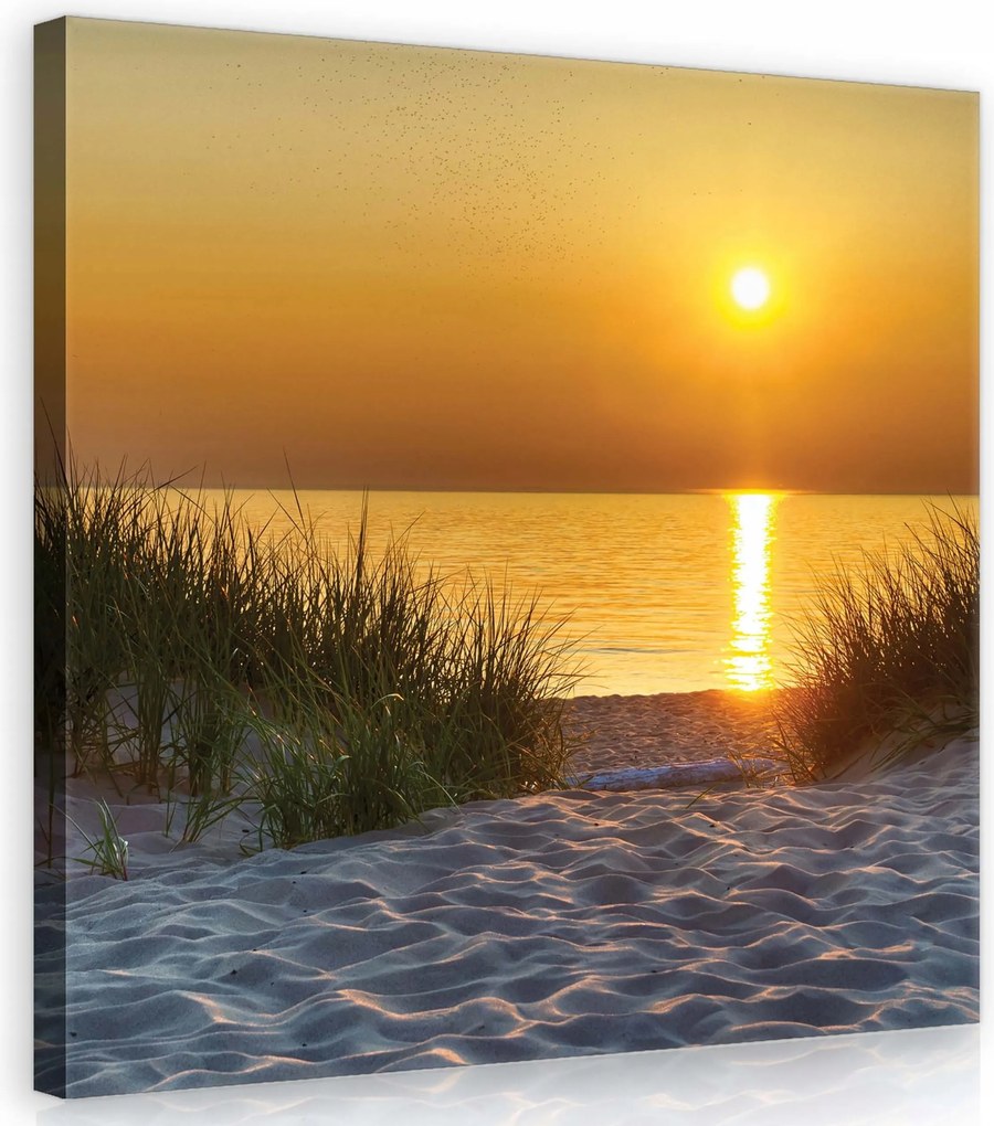 Vászonkép 40x40 Naplemente tengerpart tenger nyugalom természet esti fény
