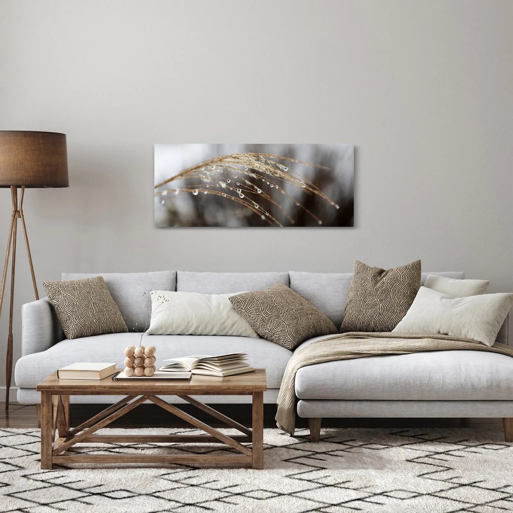Cseppkép egy növényen (120x50 cm)