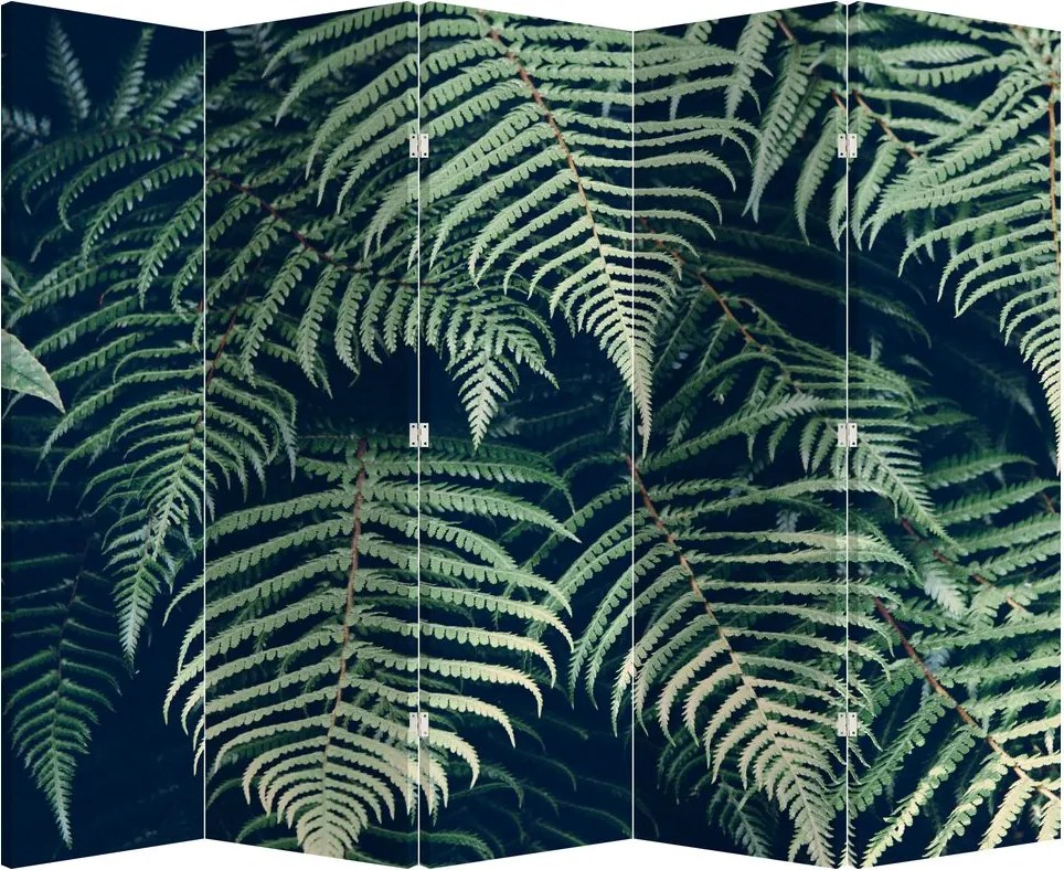 Paraván - Páfrány levelek (210x170 cm)