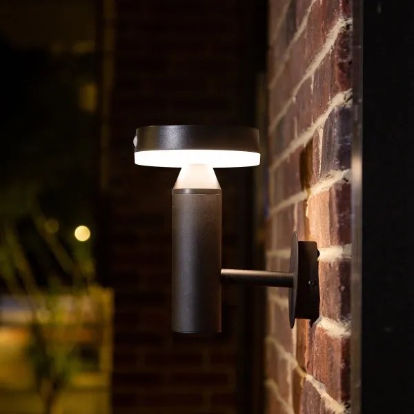 Zuma Line WT33611 - LED Napelemes fali lámpa CARLI LED/4,5W/2000mAh IP44 fekete