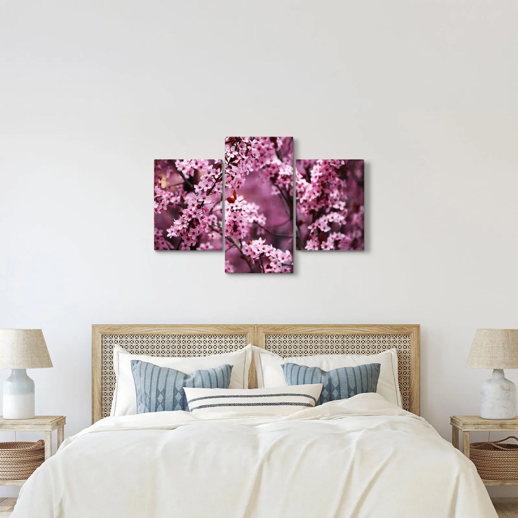 Kép - Rózsaszín sakura (90x60 cm)