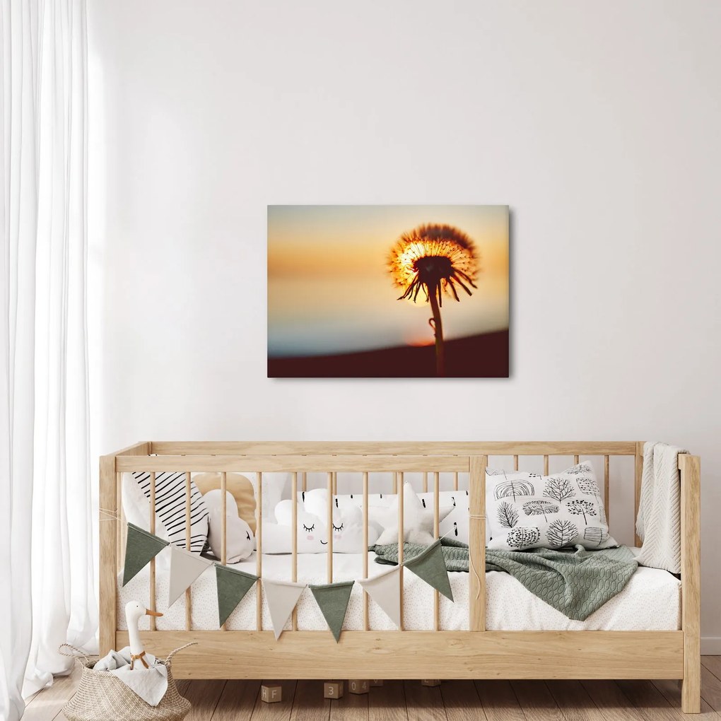 Egy pitypang képe naplementekor (70x50 cm)