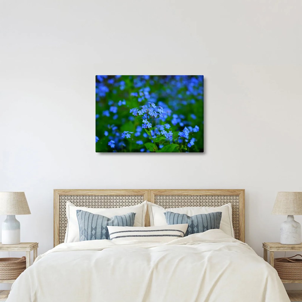 A kék virágok képe (70x50 cm)