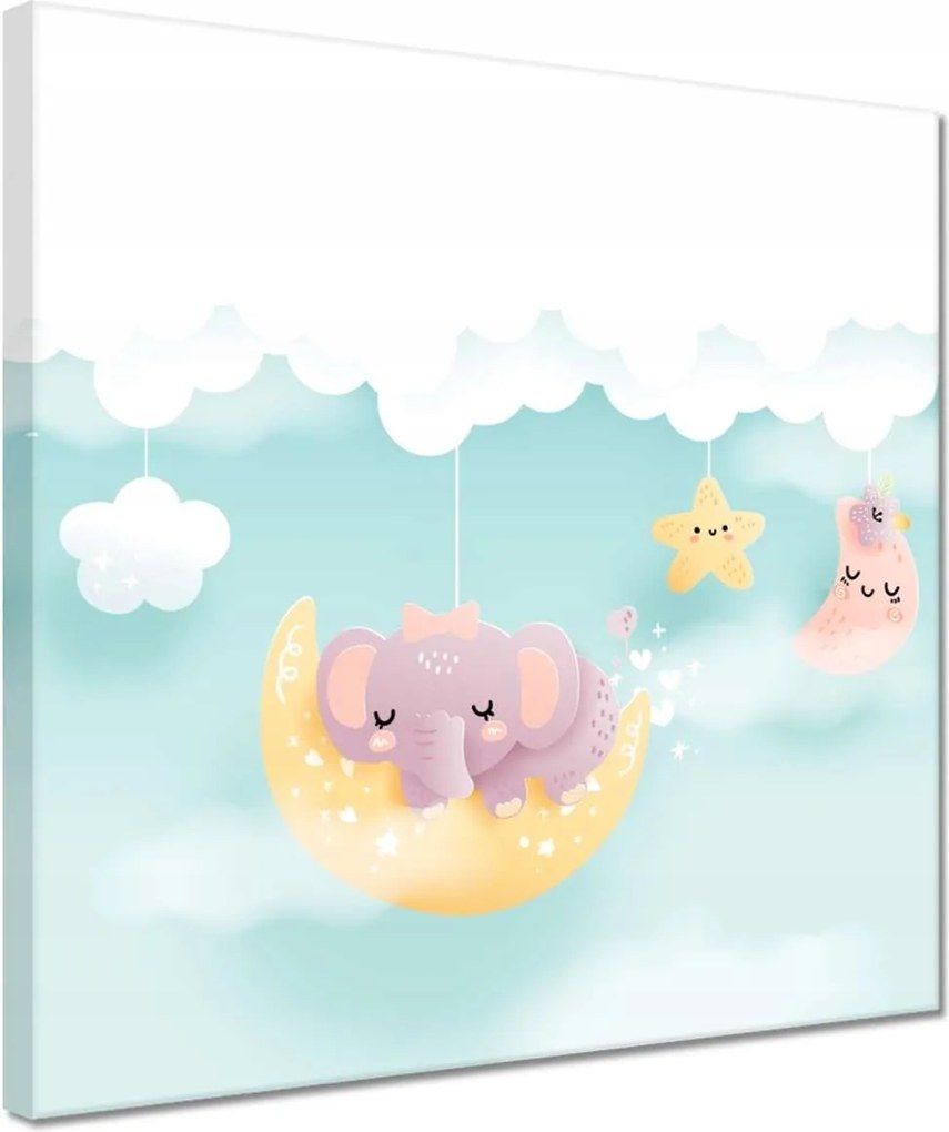 Vászonkép 30x30 Felhők és állatok