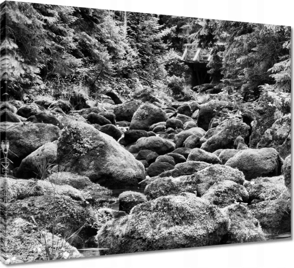 Vászonkép 50x40 Tátra Lengyel hegyek Kilátás