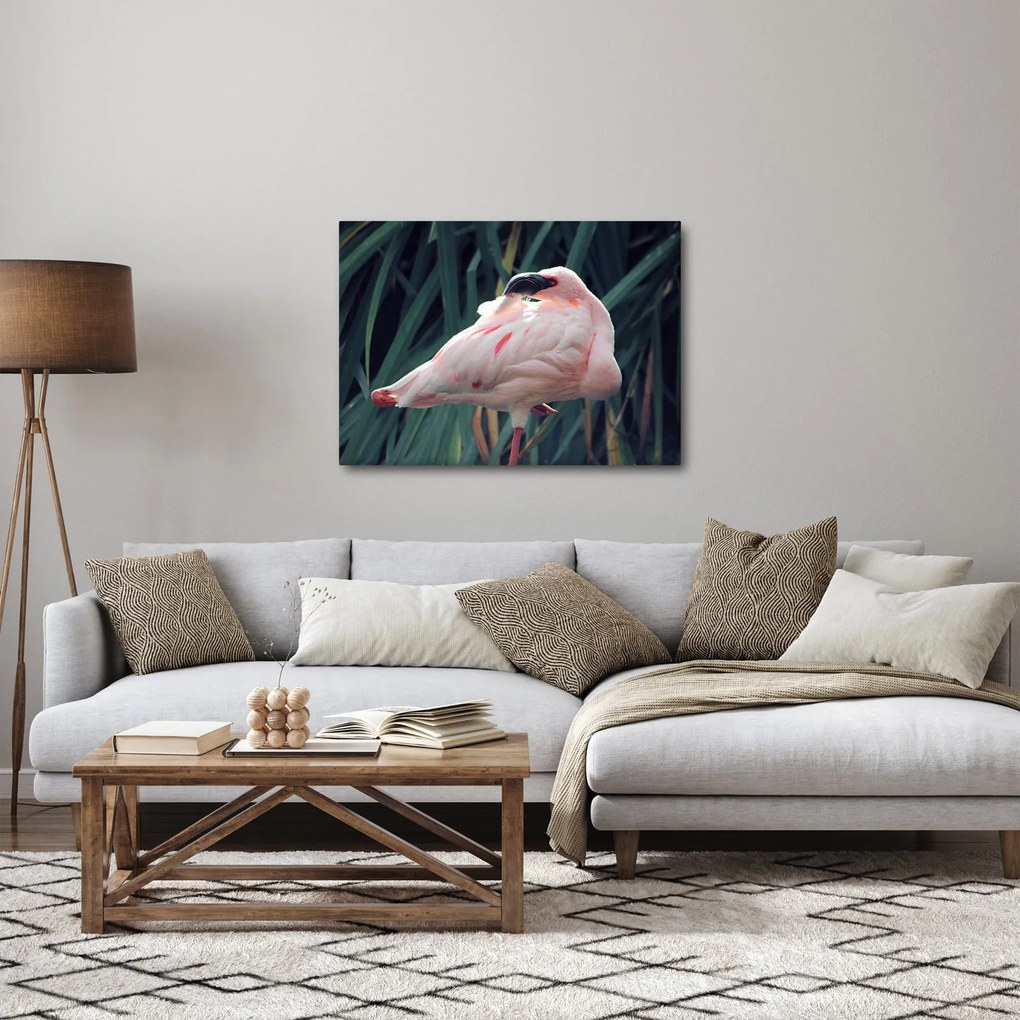 Kép - Flamingó (70x50 cm)