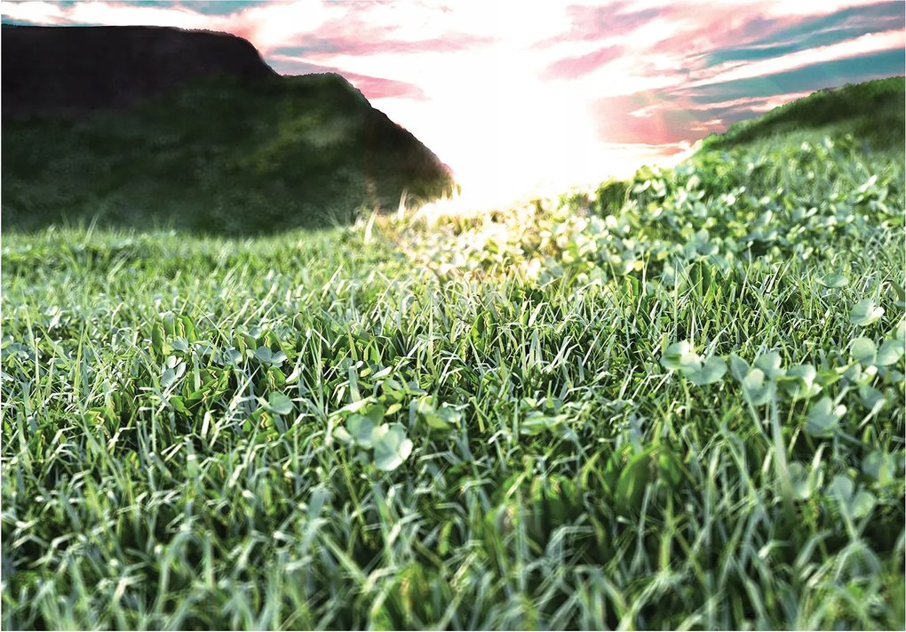 Flizelin fotótapéta Mezei vég hajnal hegy 460x300 +ragasztó