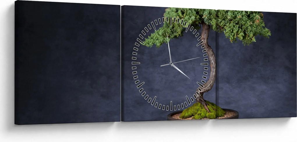 Kép - Bonsai (órával) (90x30 cm)
