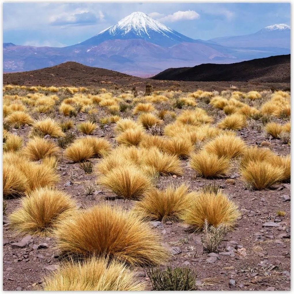 Poszterek 100x100 Tájképek Kilátások OrszágPlakátok