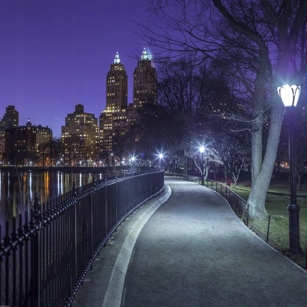 Poszter 60x60cm Central Park, Assaf Frank