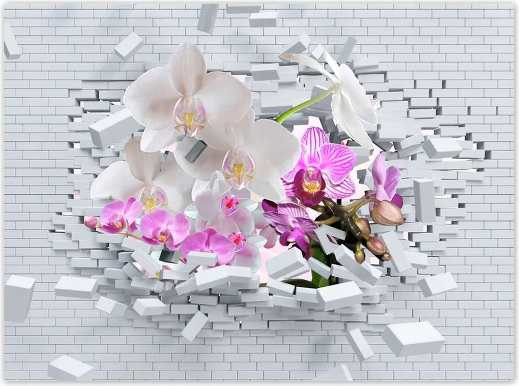 Poszterek 135x100 Orchidea a falon Virágok