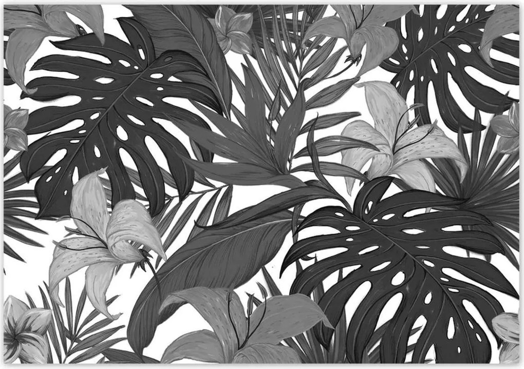 Fotótapéta 416x290 Fekete-fehér monstera