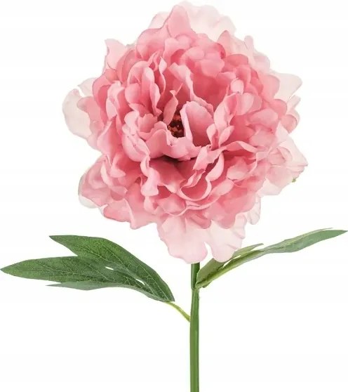 Művirág bazsarózsa, 35 cm, rózsaszín