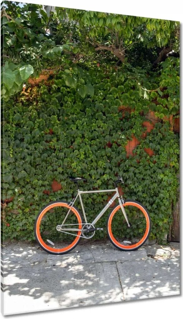 Vászonkép 80x120 Kerékpárok Két kerék