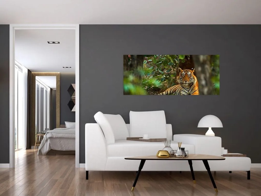 Pihenő tigris képe (120x50 cm)