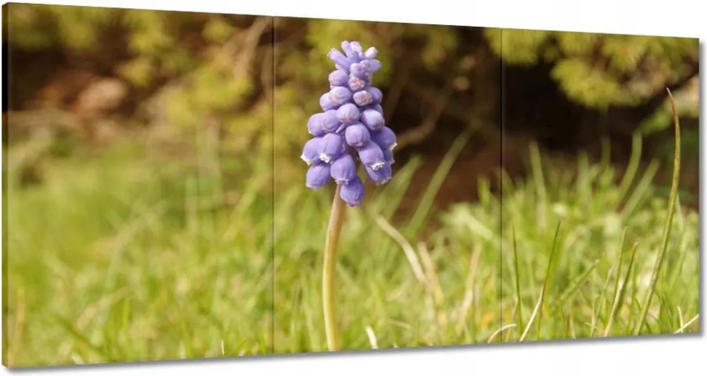 Vászonkép 180x90 Lila virág