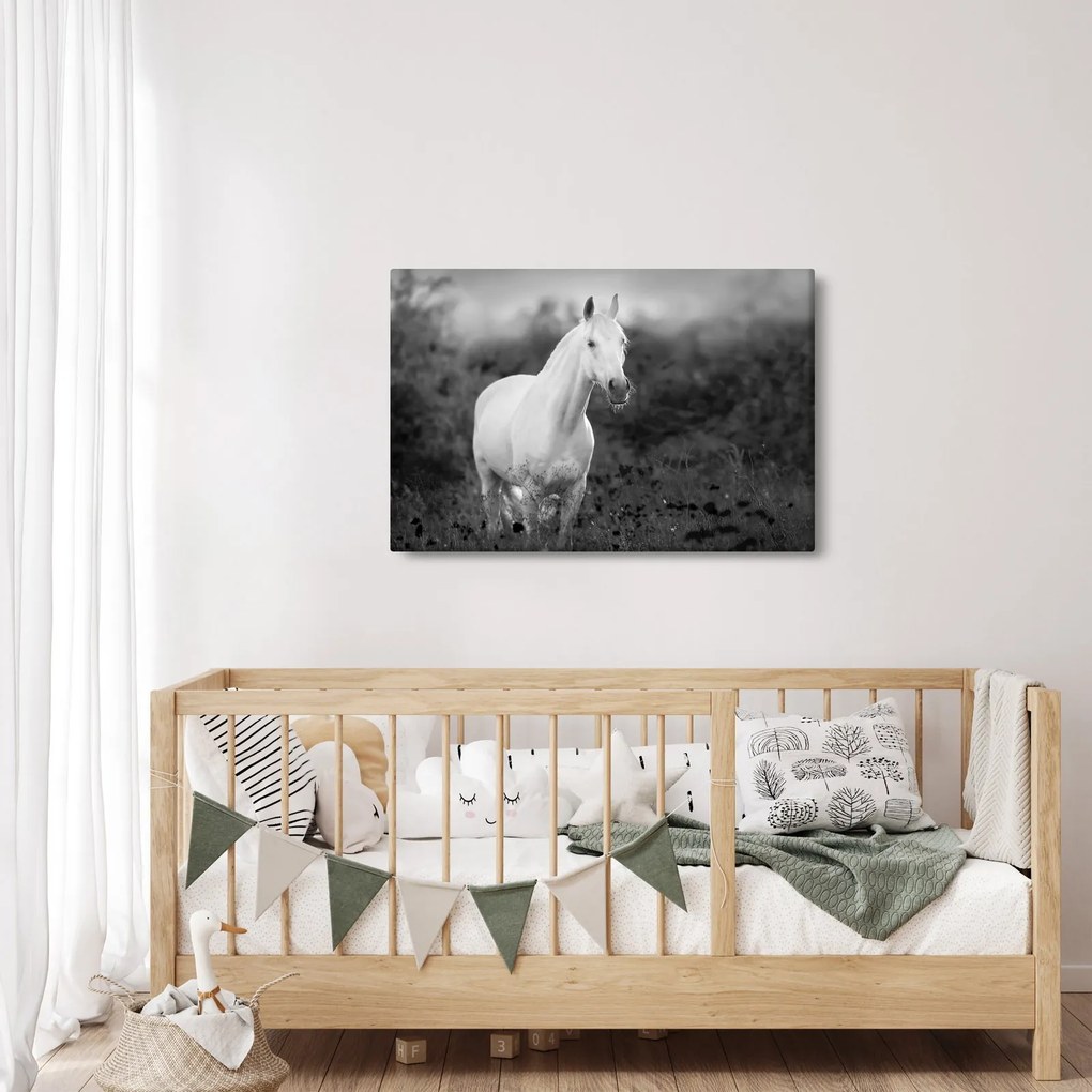 Egy fehér ló képe egy réten, fekete-fehér (90x60 cm)