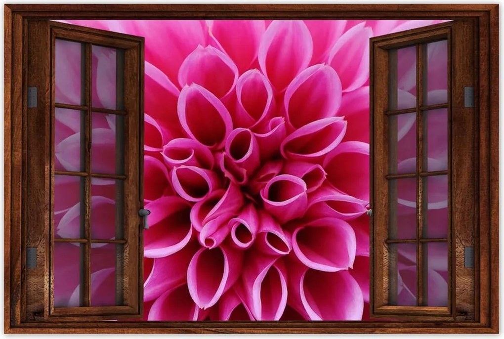 Poszterek 60x40 Liliom