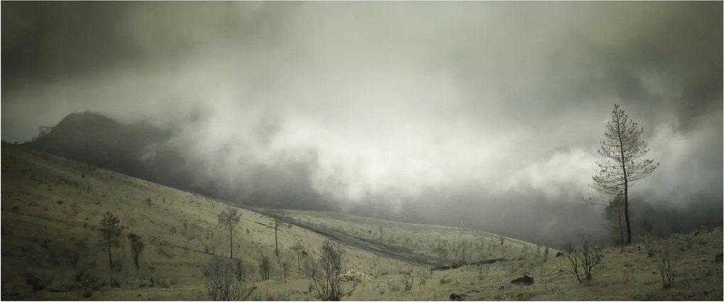 A vihar előtti táj képe (120x50 cm)