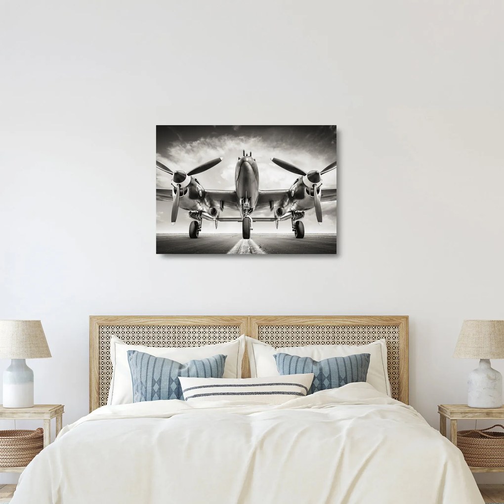 Üveg kép - Warbird (70x50 cm)