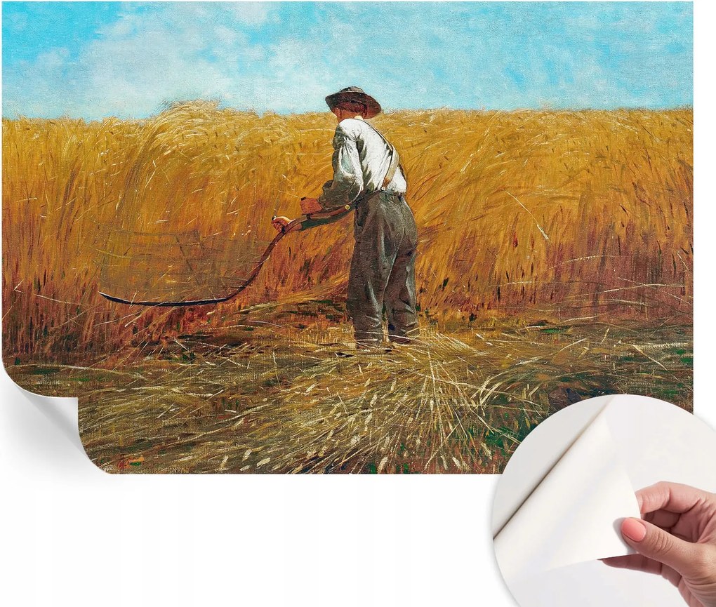 Modern öntapadós fotótapéta falra Szüret a napsütésben 152x104 cm