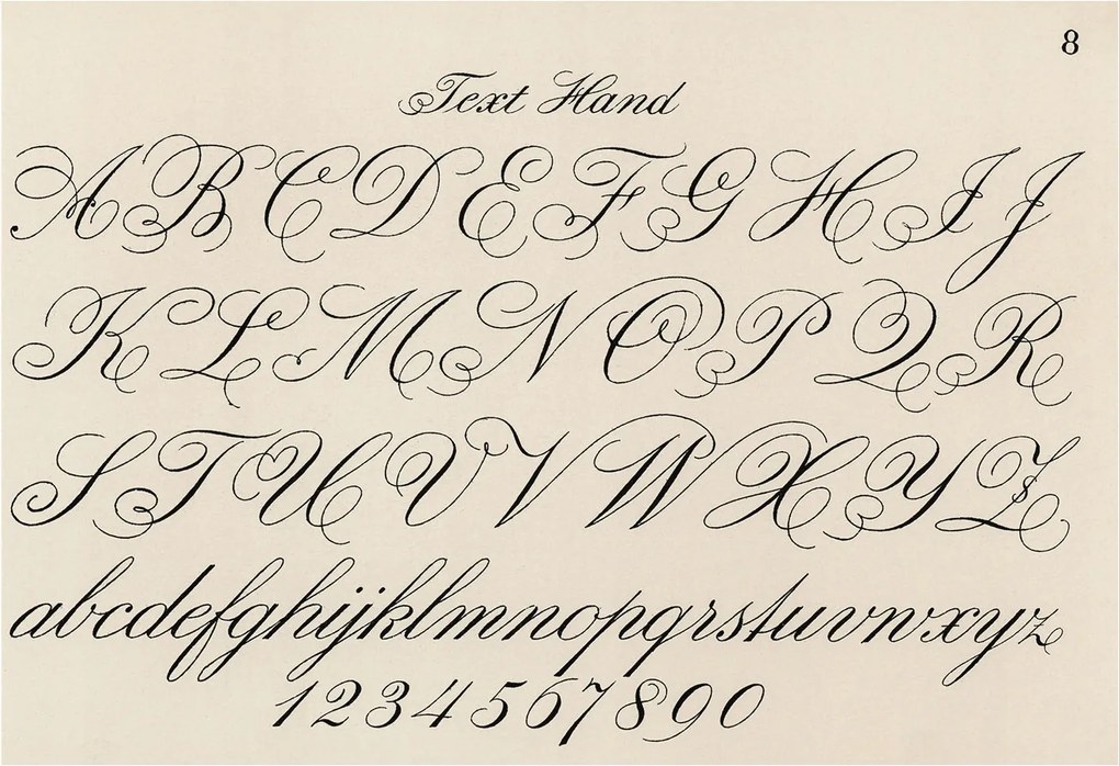 Stílusos Dekoratív fotótapéta Flizelin Kalligrafikus írás 152x104