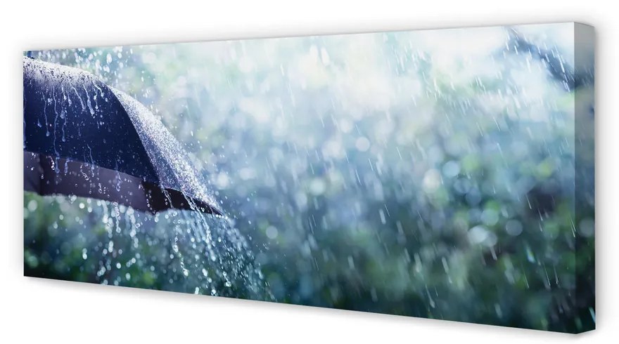 Canvas képek Esernyő eső esik 125x50 cm