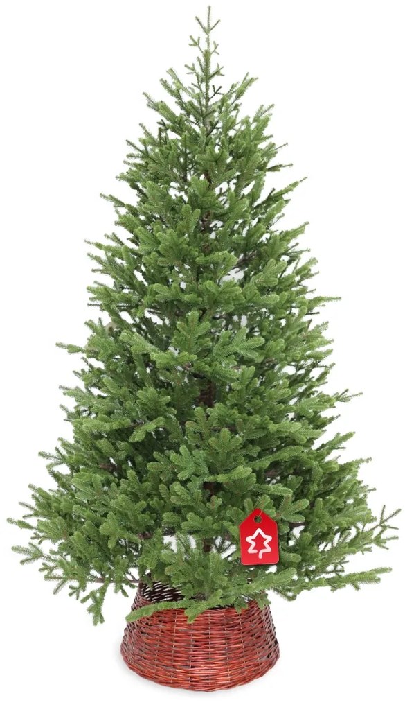 Natura lucfenyő 100% 210 cm
