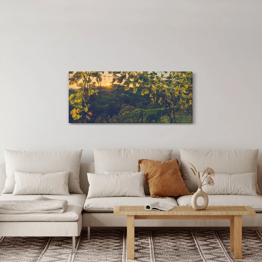 Kép - szőlőültetvény (120x50 cm)