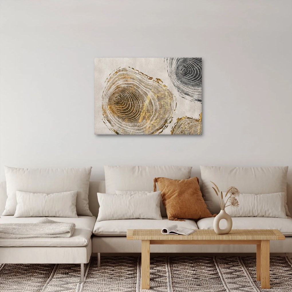 Kép - Törzsek absztrakciója (70x50 cm)