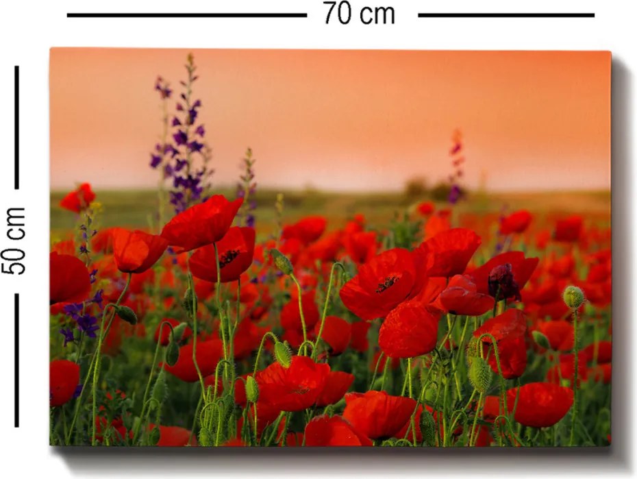 Kanvas vászonkép, 50×70 cm – TR529TCR1101