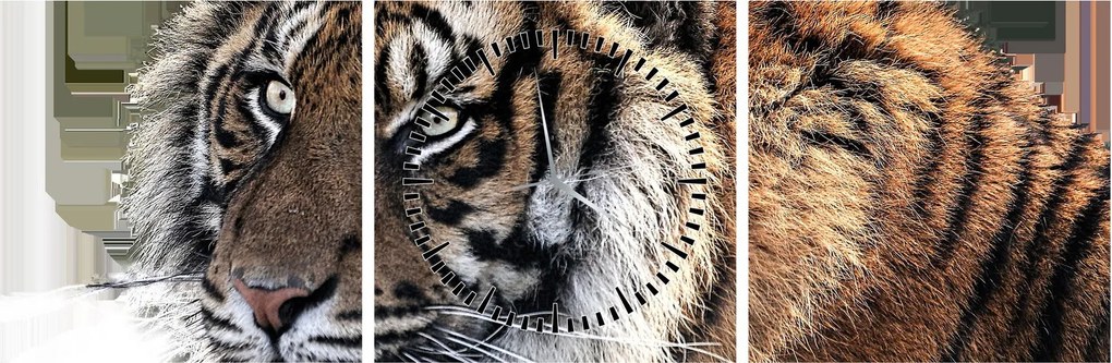 Tigris képe (órával) (90x30 cm)