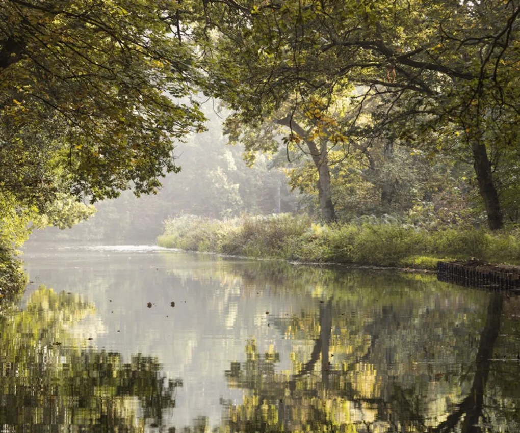 Poszter 60x50cm Basingstoke csatorna 3, Assaf Frank