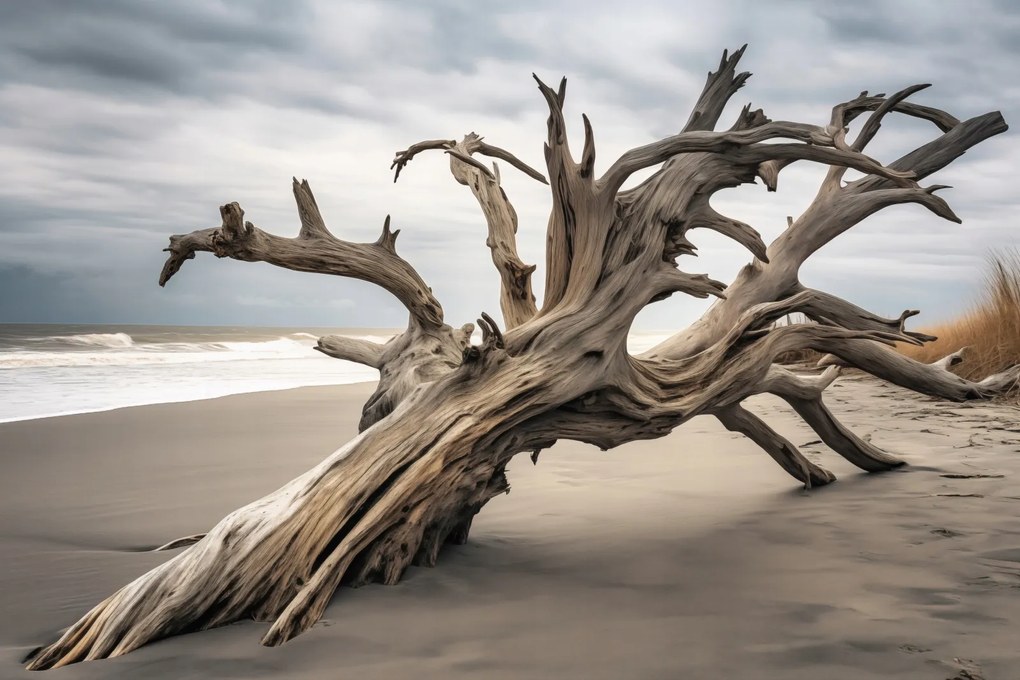 Poszter 60x40cm Örökkévalóság Elvarázsolt a fában