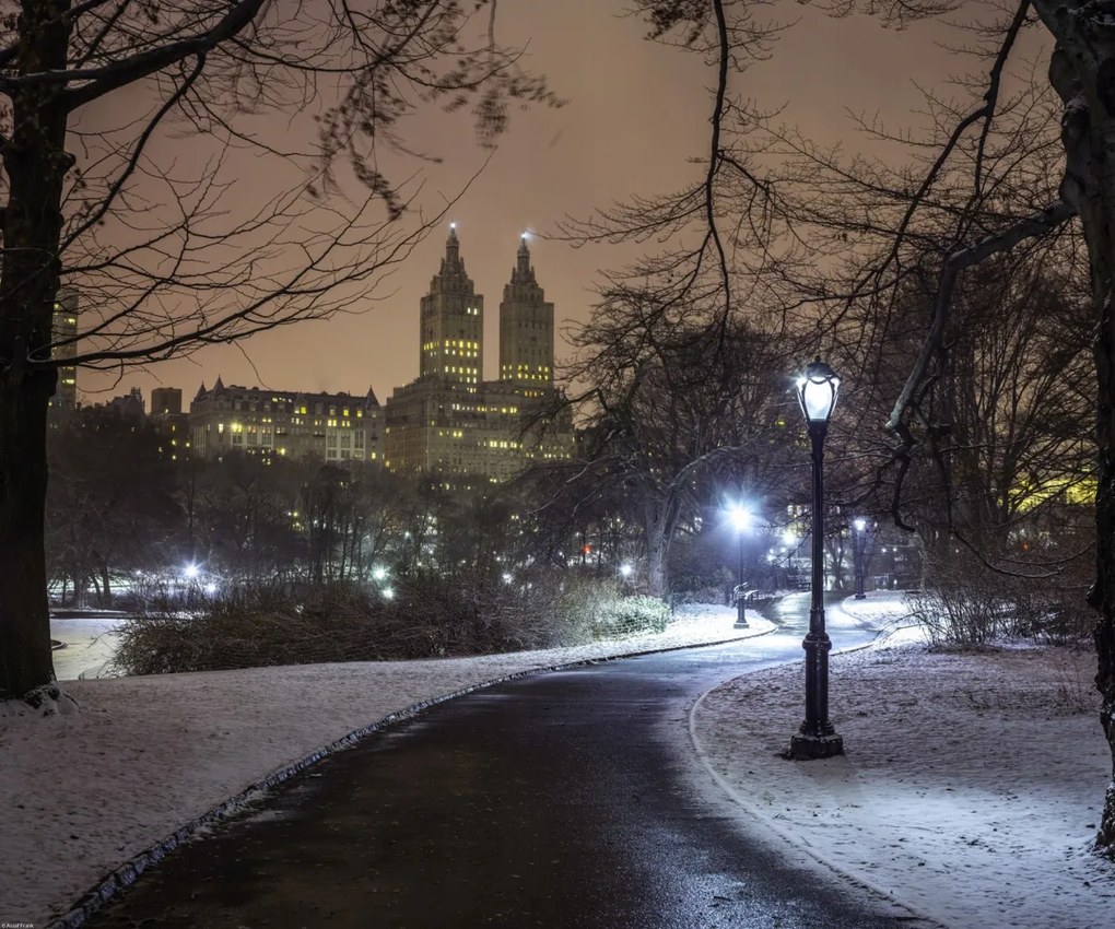 Poszter 60x50cm Ösvény a központi parkon át, Assaf Frank